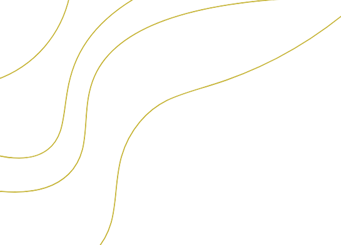 golden-lines-bg